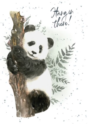 Hang in There